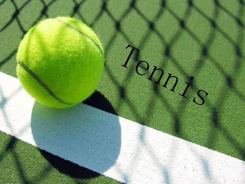 掘金的阵容 掘金的阵容