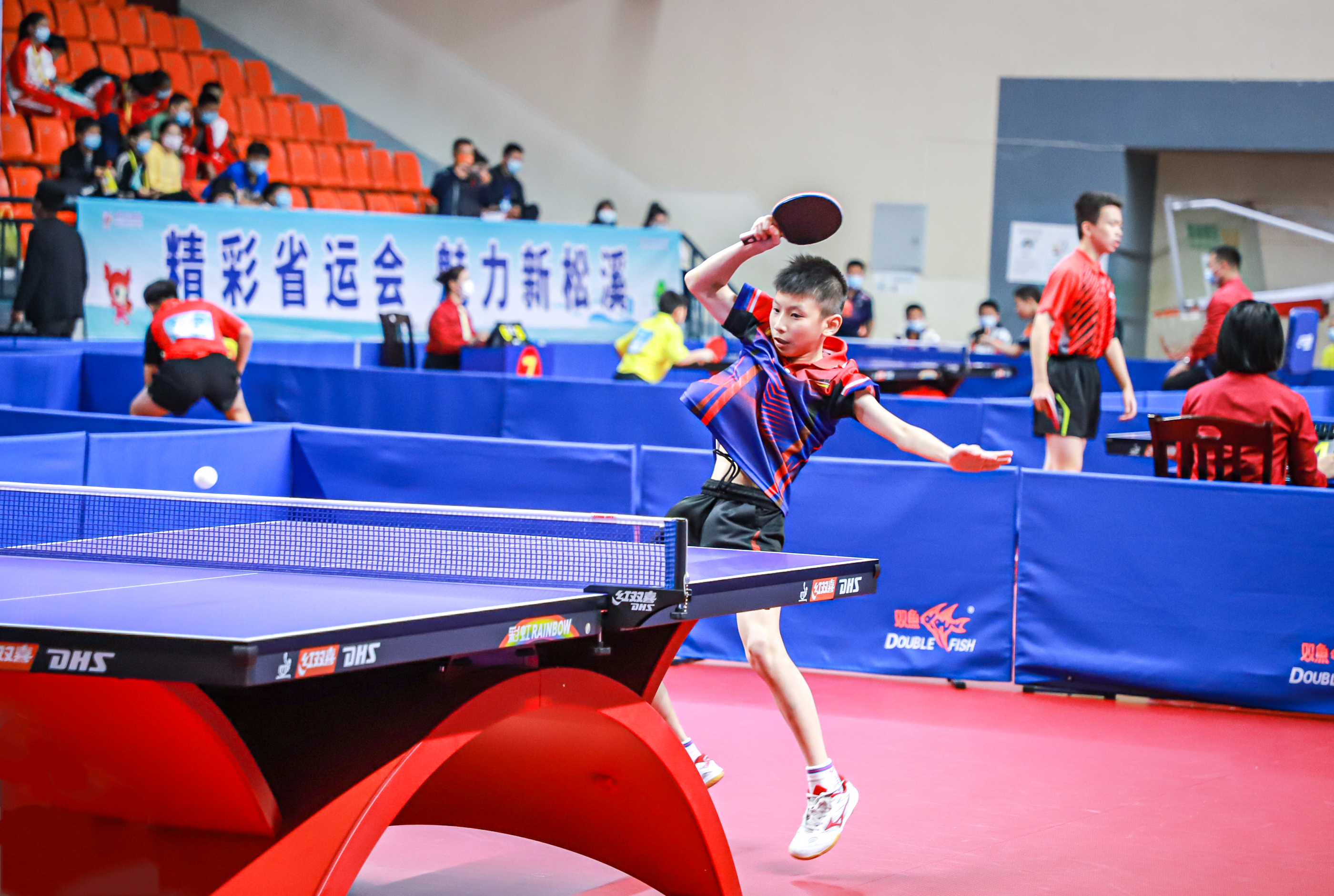 赢得了无数 赢得了无数