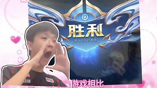 以风格而非